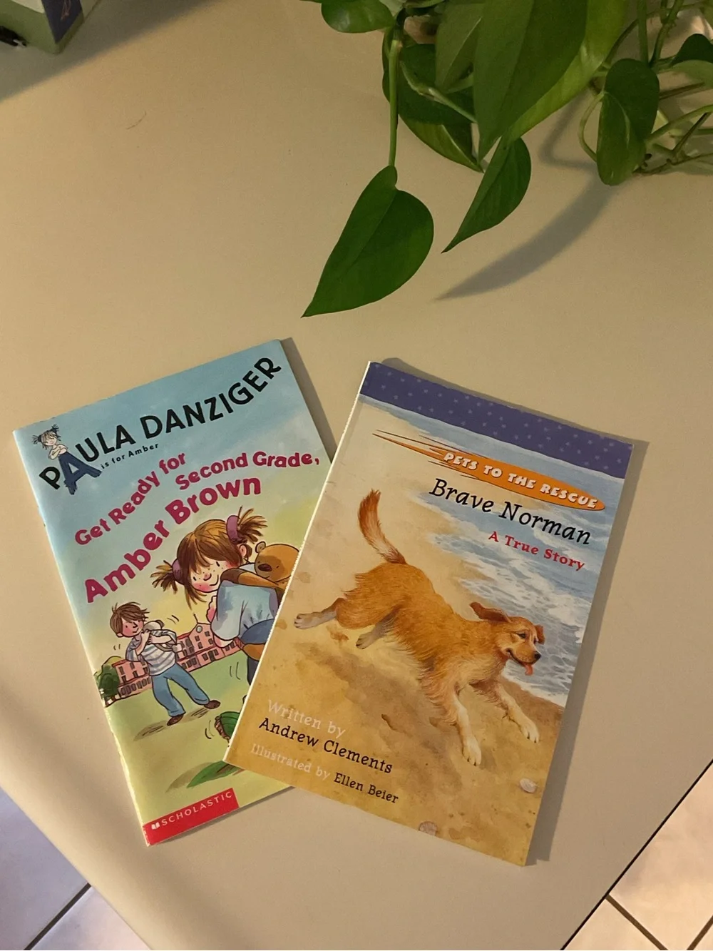 Brave Norman & Get Ready for Second Grade Kids Picture Reader Books 📚